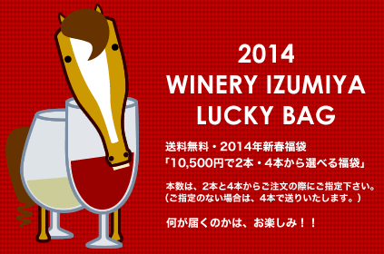 送料無料・2014年・新春福袋・10500円で2本・4本から選べる福袋ワインセット