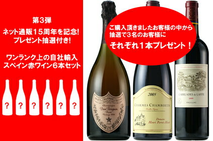 第3弾 送料無料 ☆15周年記念☆ プレゼント抽選付き！ワンランク上の自社輸入スペイン赤ワイン6本セット