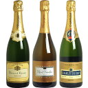 　THE決算スペシャル！贅沢シャンパン3本セット（泡3本）　★グランクリュとプルミエクリュが入った贅沢なシャンパン！今だけの「超」限定セット！