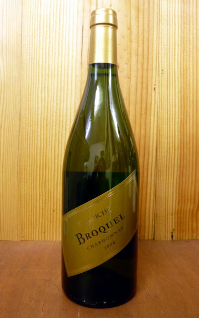 トラピチェ・ブロッケル・シャルドネ[2010]年 D.OメンドーサTRAPICHE BROQUEL Chardonnay [2010] D.O.Mendoza