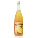 レモンとジンジャーの梅酒 1800ml 1.8L ジンジャー梅酒シリーズ 健康食前酒 紀州の梅酒 梅飲料