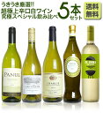 【送料無料】第2弾!うきうき厳選 世界の白ワインが味わえる超...