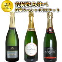 【送料無料】うきうき高級辛口有名メゾン シャンパーニュ究極飲...