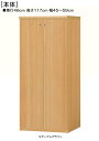 全面扉書庫 高さ117cm幅45~59cm奥行46cm厚棚板(棚板厚み2.5cm) 両開き 全面扉付ベッドルーム収納