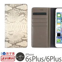 iPhone6sPlus / iPhone6Plu
