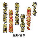 【プロ野球　阪神タイガースグッズ】高山 俊ヒッティングマーチ（応援歌）ワッペン