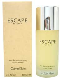 カルバン クライン CALVIN KLEIN エスケープ　フォーメン EDT SP 100ml 【香水】 【HLS_DU】