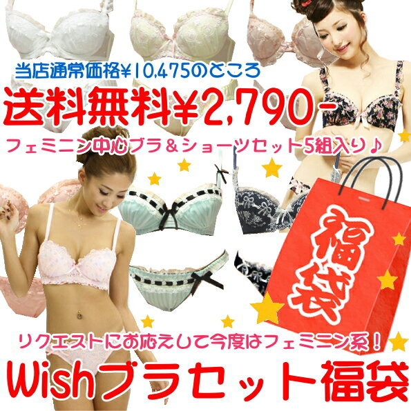 【送料無料☆2790円】Wishブラセット福袋☆ブラ＆ショーツセット5組入り♪BCD65-75EF70-75☆キュートなフェミニン系中心☆