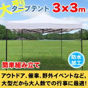 サプライズPRICE!!【送料無料】タープテント 3m×3m...