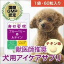 【メール便・送料無料】【初回半額クーポンプレゼント】犬用の目のサプリ ブルーベリー ルテイン ペットサプリ 犬用アイケアサプリ (毎日愛眼)<1袋60粒入り>