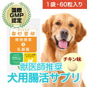 【メール便・送料無料】【初回半額クーポンプレゼント】犬用サプリ 乳酸菌 植物酵素 ペットサプリ ペット用乳酸菌サプリ ペット酵素(毎日爽快)<1袋60粒入り>