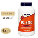 ビタミンB-100 250粒 約8ヶ月分 NOW Foods(ナウフーズ)B群10種 葉酸 ナイアシン ビオチン パントテン酸 PABA コリン イノシトール[お得サイズ]