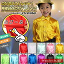 サテンシャツ キッズ 子供 ストレッチ生地 12色 【100cm〜150cmサイズ】 サテン生地