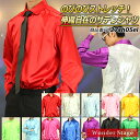 サテンシャツ ストレッチ生地 12色 【XXS〜3Lサイズ】 伸縮性あり サテン生地 ワイドカラー ステージ衣装 ダンス衣装 舞台衣装 合唱 吹奏 カラオケ衣装 ライブ マジック用 メンズ レディス 男女兼用【商品番号_27sh05el】
