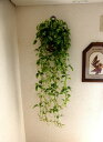 【エントリーで最大P10倍】【トラデイスカス壁掛【人工観葉植物】【インテリアグリーン】【触媒加工】【造花】【フェイクグリーン】【壁掛グリーン】【4000円以下】【3996円】【3000円代〜】