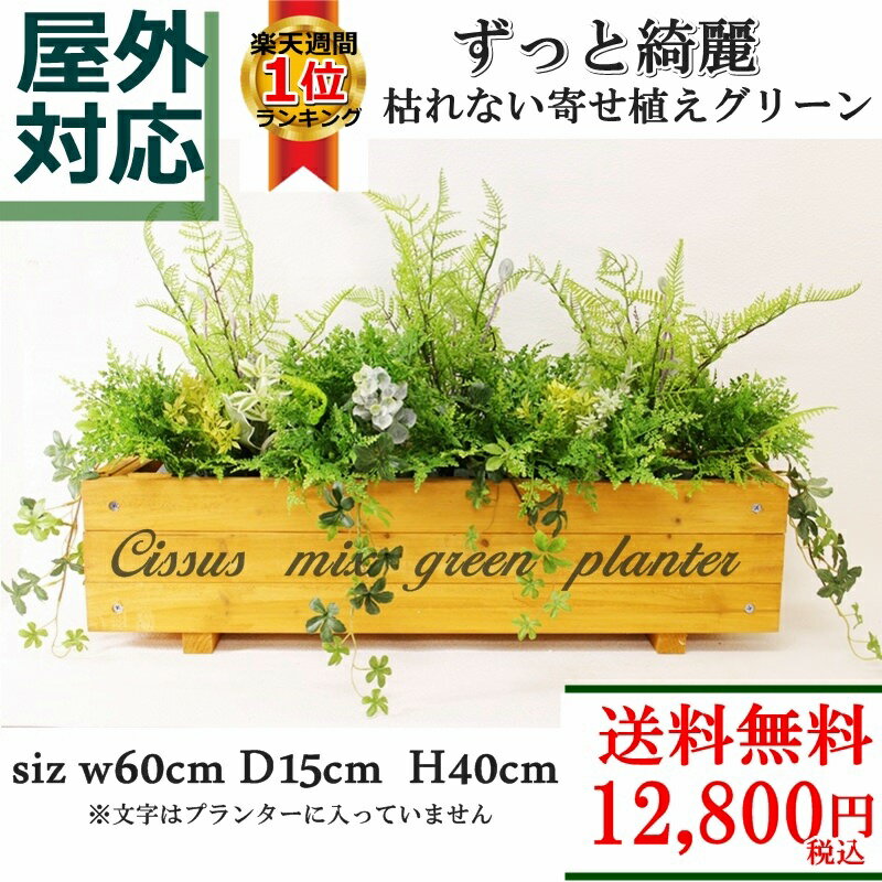 送料無料◎ 屋外対応 シサスミックスグリーンプランター 60cm 12,800円 イングリ…...:woodpecker:10001429