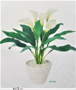 【人工観葉植物】【カラープタンター】【送料無料】【代引き不可】
