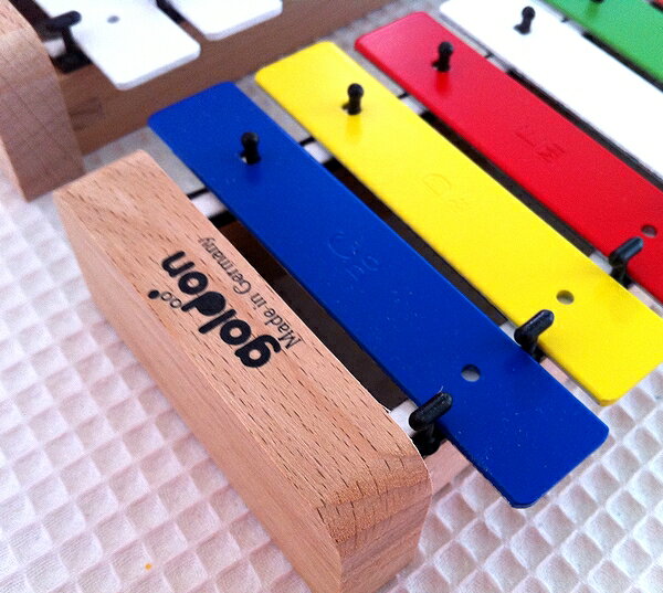 my̐僁[J[̓SՃS[hgoldon t@~[J[^tHi^tHji12j