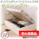 ベッド セミシングル 収納ベッド 衣類 収納 付き レギュラー 【横開き】オリジナルポケットコイル マットレス 【 ナチュラル 】【木製 パイプ 丈夫 頑丈 収納 大容量 引き出し 読書 子供部屋 姫系 お兄系 脚 硬め 柔らかめ 送料無料 】
