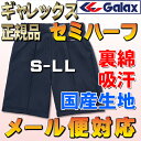 【メール便無料 ギャレックス製セミハーフパンツ 体操服】今主流の長さです S/M/L/LL/中学生/高校生/一般/学校体操着/ロングクォーターパンツ