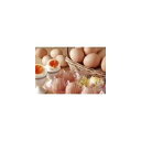 【送料無料】絶品!こだわり卵 30個