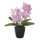 【送料無料】観葉植物/フェイクグリーン 【ミニオーキット L】 日本製 光触媒 消臭 抗菌 ホルムアルデヒド対策 『光の楽園』 〔リビング〕