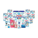 【送料無料】アリエールスピードプラス洗剤ギフト B4166574