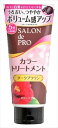 サロンドプロ カラートリートメントN (180G) サロンドプロ カラートリートメントN DBR【26307】