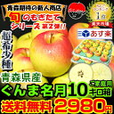 【送料無料】青森 りんご (ご家庭用) 超希少!! ぐんま名...