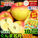 超希少【送料無料】青森 りんご 家庭用 ぐんま名月 10キロ...