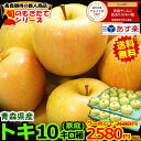 クーポンで2580円!出荷中【送料無料】青森 りんご 家庭用...