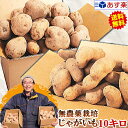 じゃがいも 送料無料 10kg男爵 メークイン 品種が選べるジャガイモ岩手県軽米町産 無