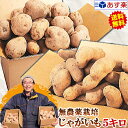 じゃがいも 送料無料 5kg 無農薬栽培男爵 メークイン 品種が選べるジャガイモ岩手県軽