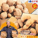 じゃがいも 5kg 送料無料 農薬栽培男爵 メークイン 品種が選べるジャガイモ岩手県軽米