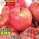入り数選べる!!【あす楽】高糖度保証!!青森りんご 10キロ