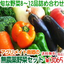 【安心・安全】『アグリメイト南郷の無農薬野菜セット』【自然農法】土作りが違います!!!02P13Dec14