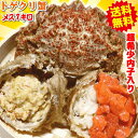 青森の毛蟹 トゲクリカニ 1kg 送料無料かにミソが美味!内子入り メス1キロ(約6杯〜8