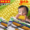 最大3000円引き【送料無料】出荷中!あす楽 嶽きみ 5本セ...