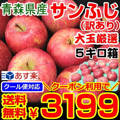 クーポンで200円OFF！あす楽【送料無料】りんご 訳あり 5kg箱 大玉厳選青森県産 りんご サンふじ超特大【3399円】メガサンふじ約5キロジュース・スムージーにも【訳あり品】青森県産サンふじ大玉 5キロ箱 訳あり