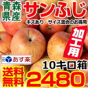 りんご 訳あり 送料無料 10kg 加工用【送料無料】青森 ...