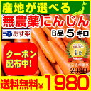 クーポン配布中!あす楽【送料無料】産地が選べる無農薬にんじん5キロ【無農薬・無化