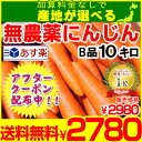 クーポン利用で!★あす楽【送料無料】産地が選べる無農薬にんじん10キロ【無農薬・無