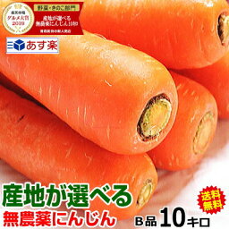 【あす楽】産地が選べる無農薬にんじん10キロ【クール便対応】無農薬 人参 無化学肥料ジュース用 酵素 にんじん 10キロにんじん 無農薬 10kg 常温便送料無料【にんじんジュースに最適】2980円