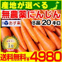 あす楽【送料無料】産地が選べる無農薬にんじん20キロ【無農薬・無化学肥料】にんじん