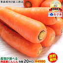 【送料無料】産地が選べる無農薬にんじん20キロ無農薬 無化学肥料 ゲルソン療法 酵素
