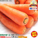 あす楽【クール便対応】産地が選べる無農薬にんじん14キロ無農薬 無化学肥料 ゲルソン