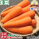 にんじん 無農薬 10kg にんじん 10kg【送料無料】産地が選べる有機JASにんじん10キロ