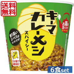 送料無料 日清食品 キーマ<strong>カレーメシ</strong> スパイシー 105g×1<strong>箱</strong> 【6個】