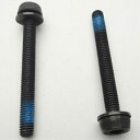 【特急】カンパニョーロ SCREWS for REAR MOUNT 2×44