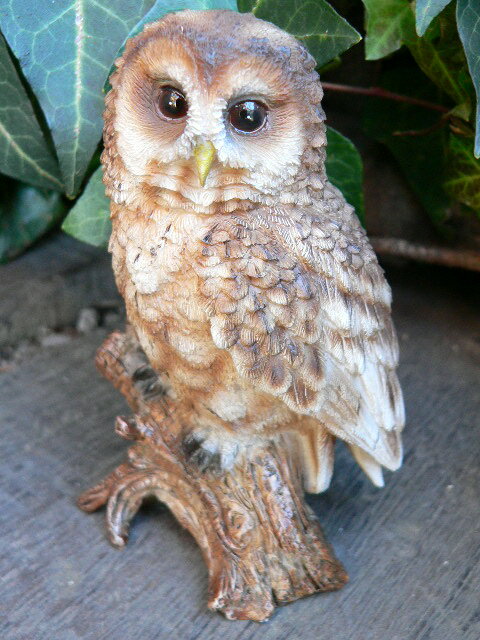 茶フクロウの置物（12.5cm）ふくろう　N2247　鳥　とり　動物 オーナメント　オブジ…...:worldon:10001128